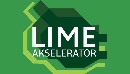 «LIME-акселератор» – новые возможности для российских НКО 